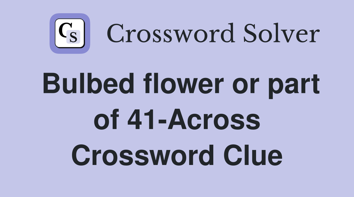 Bulbed flower or part of 41-Across Crossword Clue