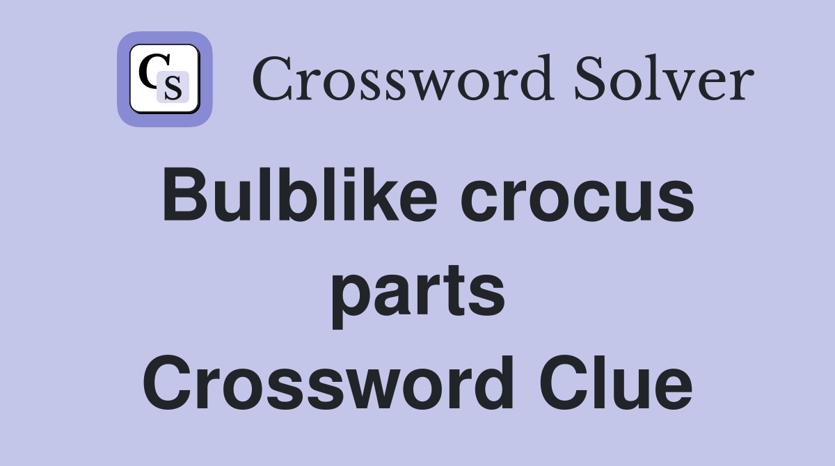 Bulblike crocus parts Crossword Clue