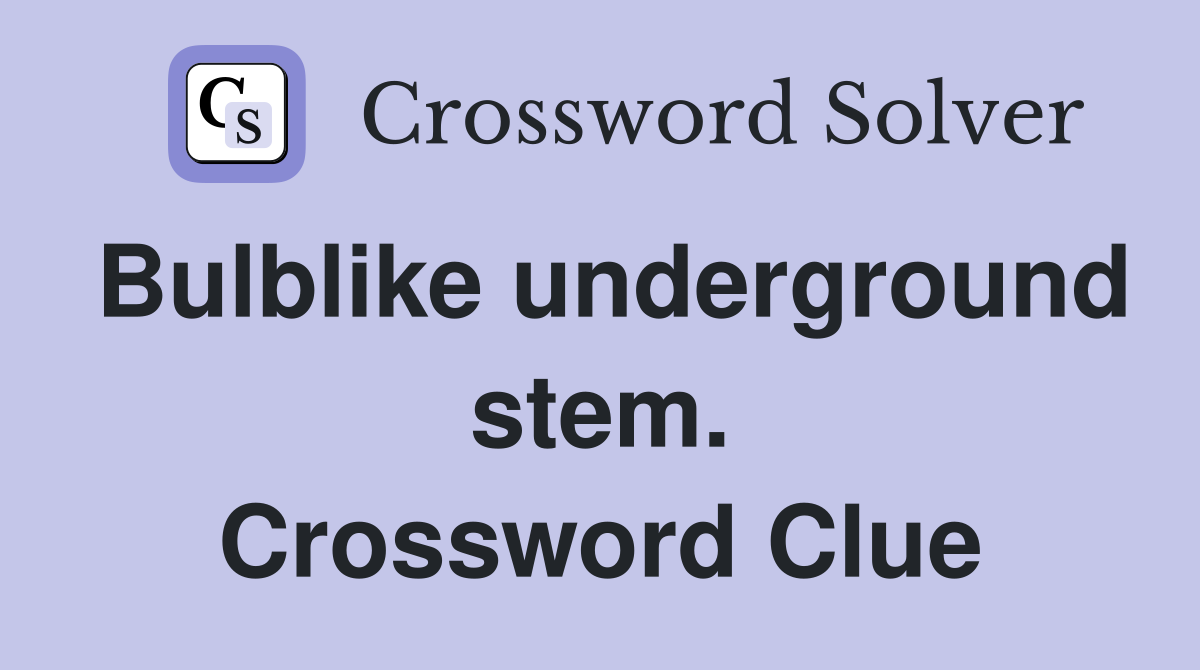 Bulblike underground stem. Crossword Clue