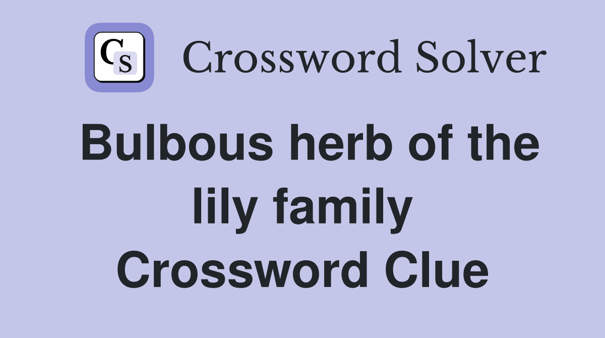 Bulbous herb of the lily family Crossword Clue