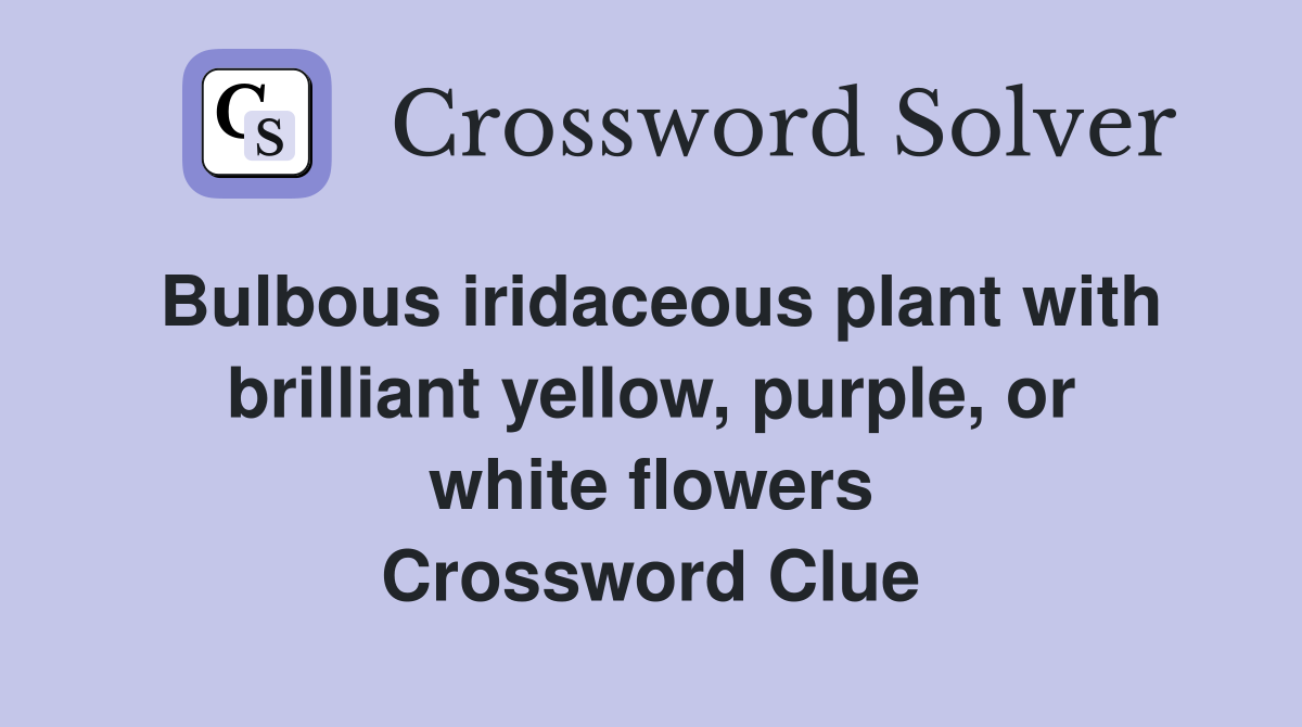 Bulbous iridaceous plant with brilliant yellow, purple, or white flowers Crossword Clue