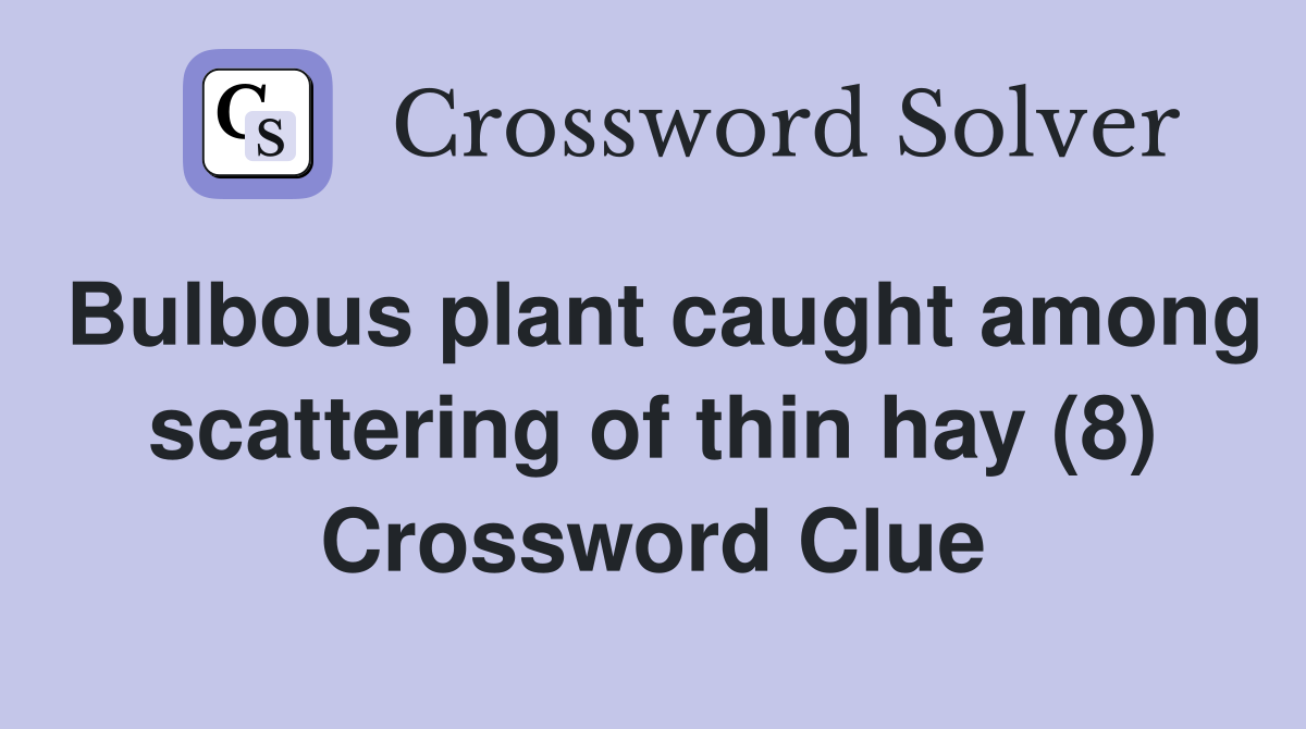Bulbous plant caught among scattering of thin hay (8) Crossword Clue