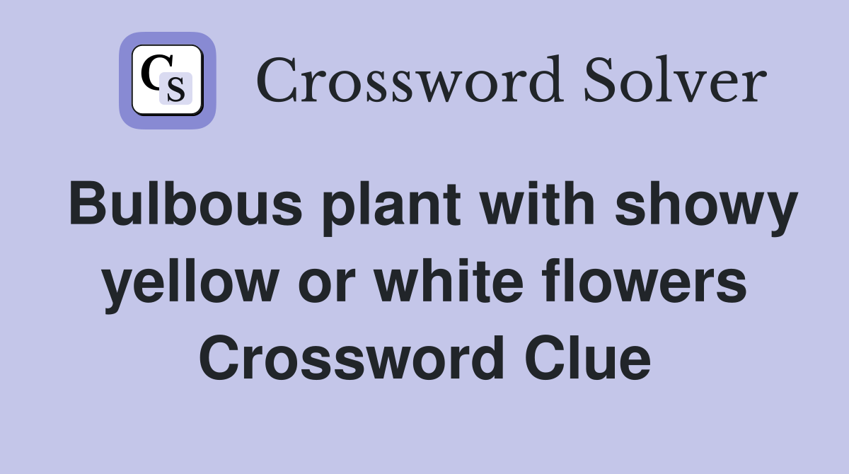 Bulbous plant with showy yellow or white flowers Crossword Clue