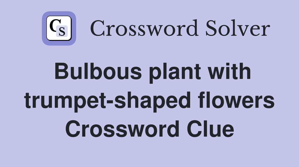 Bulbous plant with trumpet-shaped flowers Crossword Clue