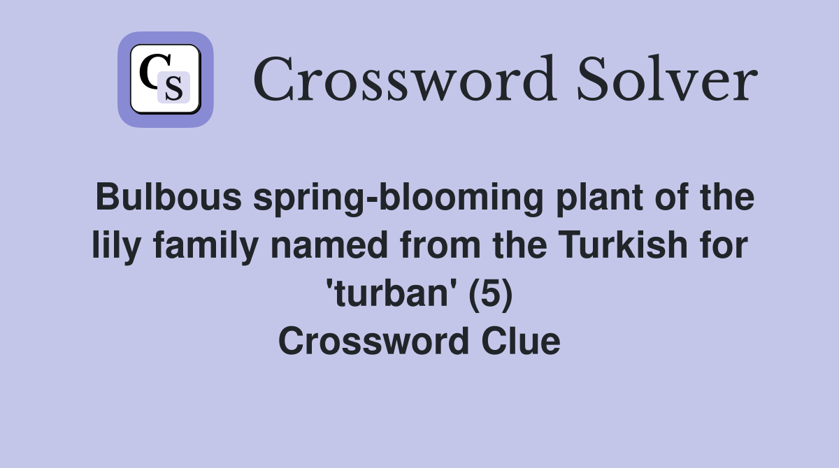 Bulbous spring-blooming plant of the lily family named from the Turkish for 'turban' (5) Crossword Clue