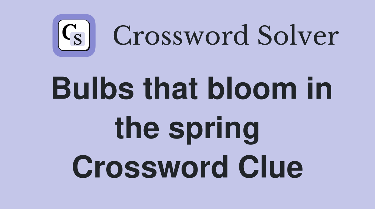 Bulbs that bloom in the spring Crossword Clue