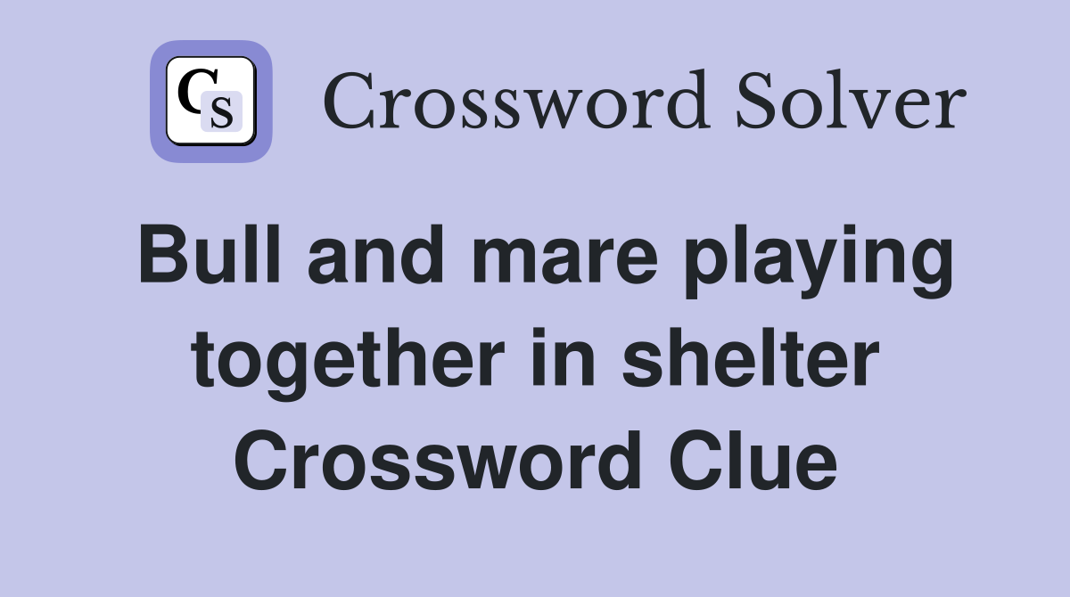 Bull and mare playing together in shelter Crossword Clue