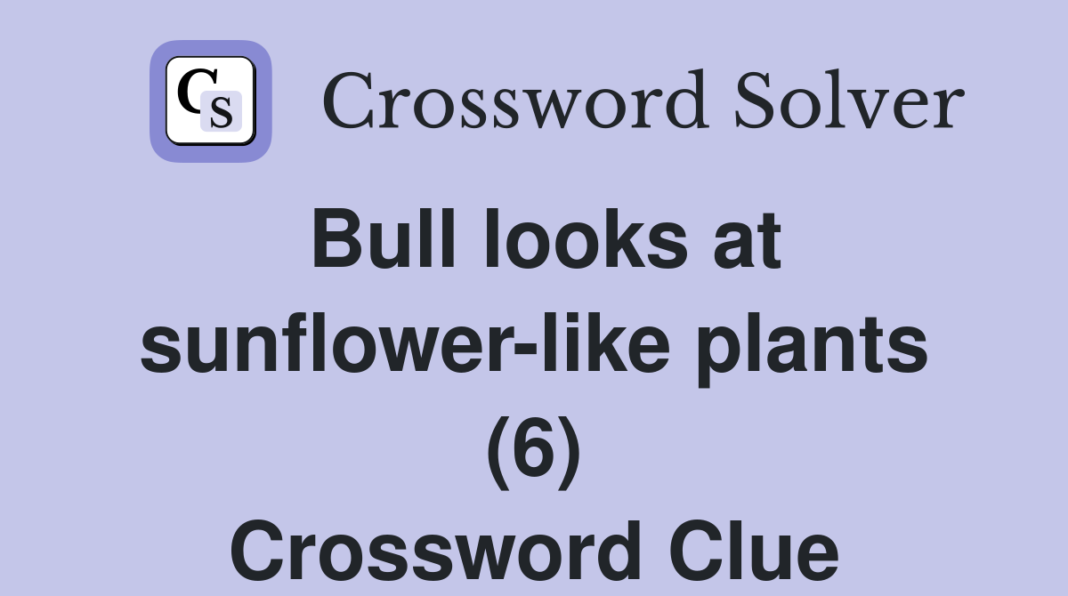 Bull looks at sunflower-like plants (6) Crossword Clue