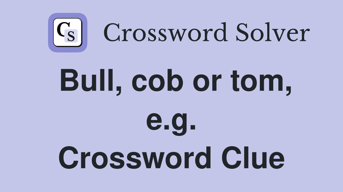 Bull, cob or tom, e.g. Crossword Clue