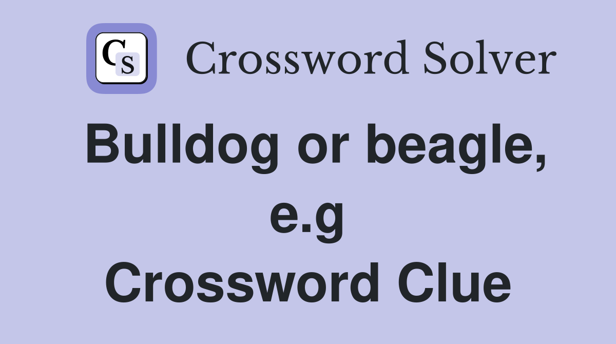Bulldog or beagle, e.g Crossword Clue