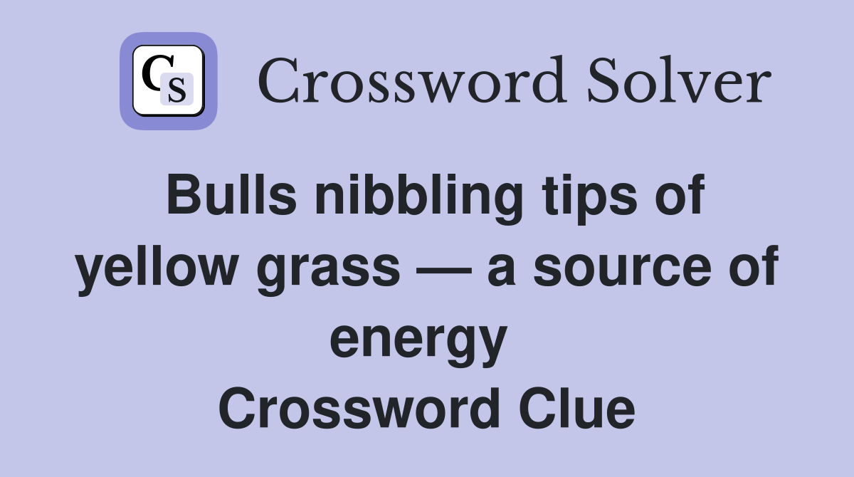 Bulls nibbling tips of yellow grass — a source of energy  Crossword Clue