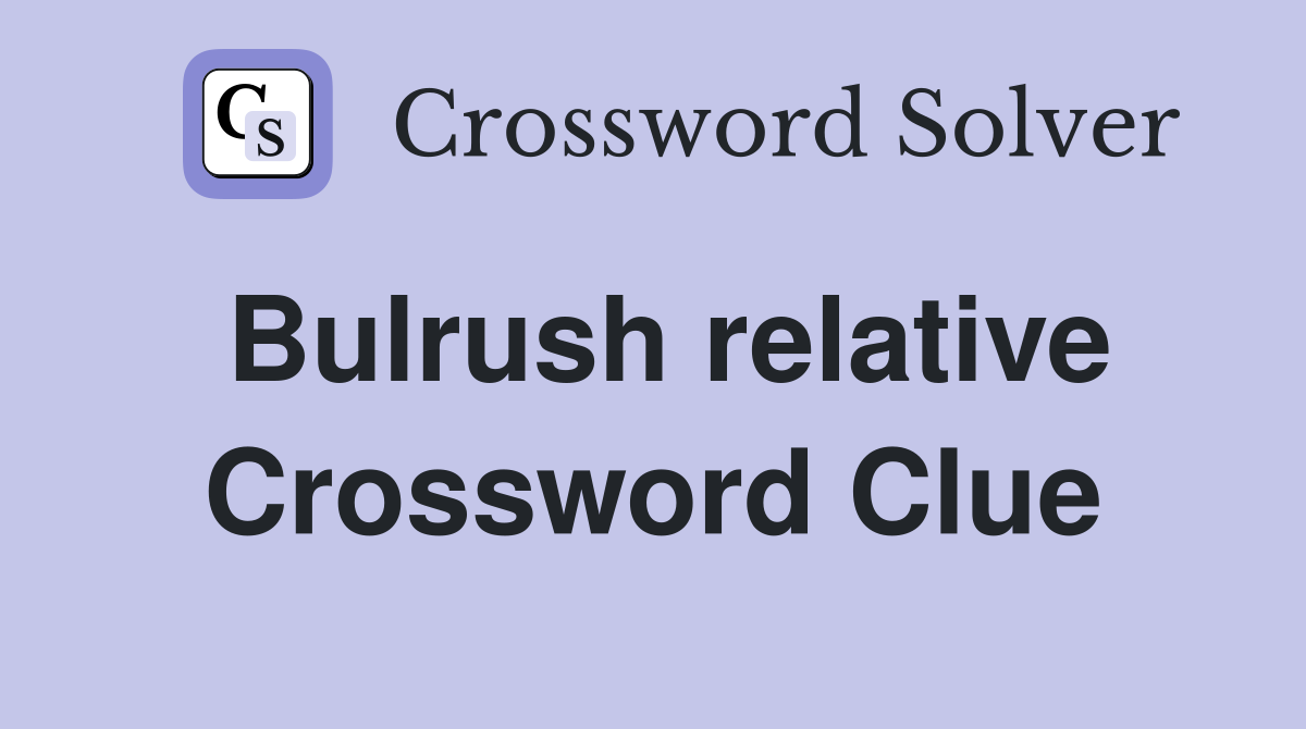 Bulrush relative Crossword Clue