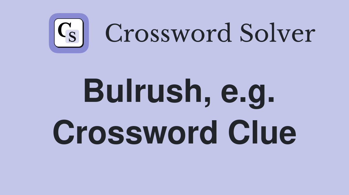 Bulrush, e.g. Crossword Clue