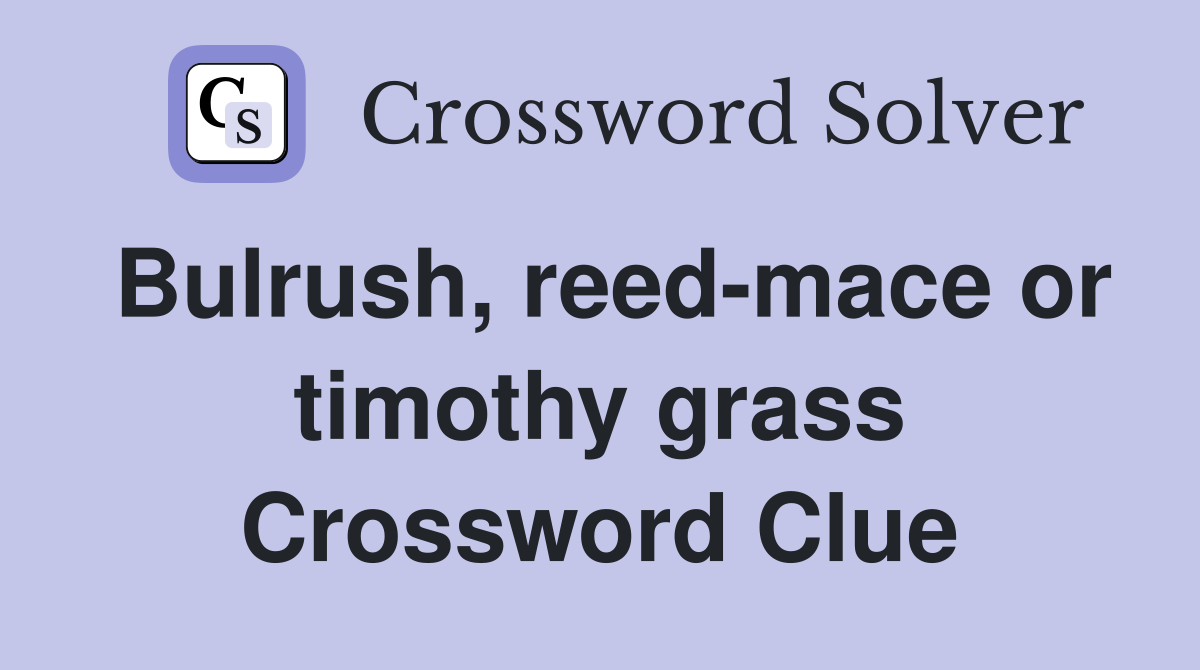 Bulrush, reed-mace or timothy grass Crossword Clue