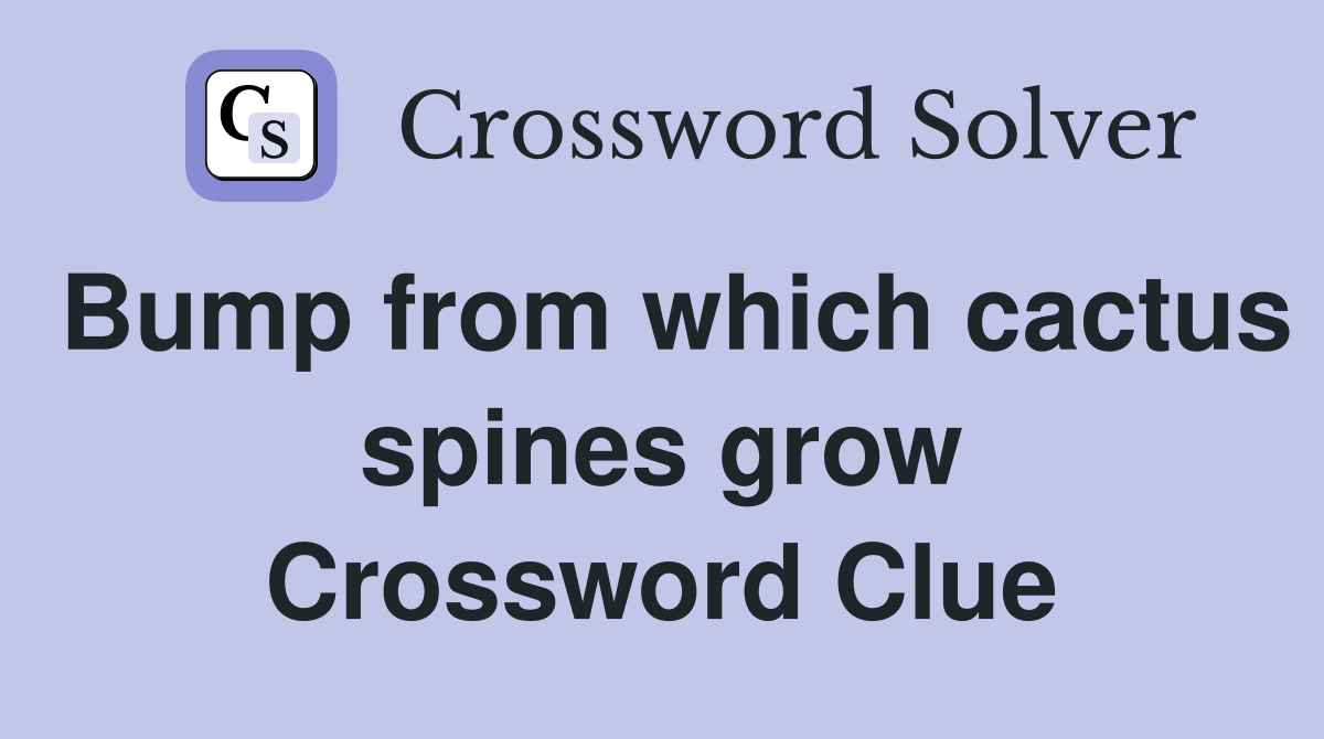 Bump from which cactus spines grow Crossword Clue