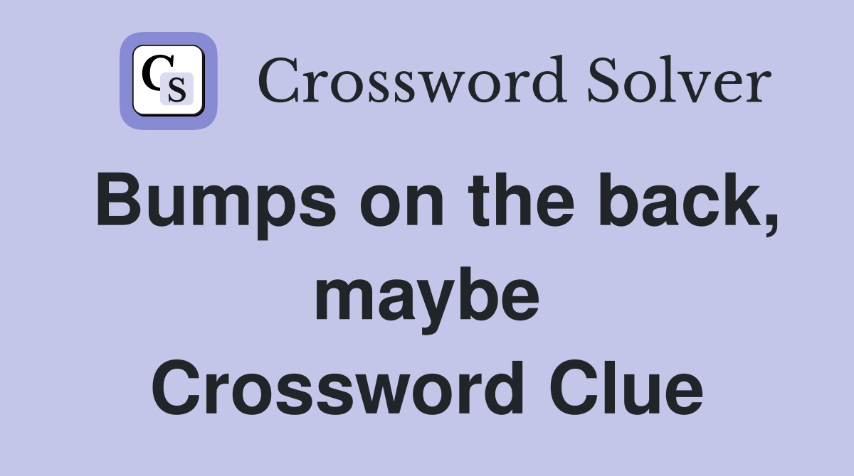 Bumps on the back, maybe Crossword Clue