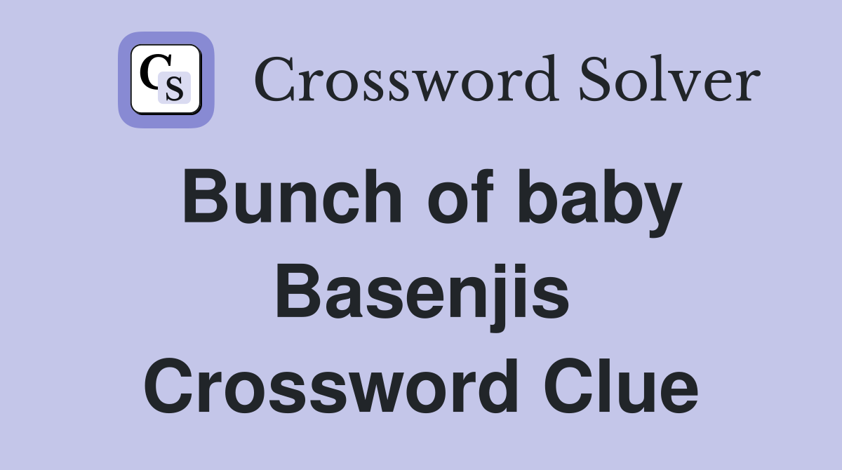 Bunch of baby Basenjis Crossword Clue