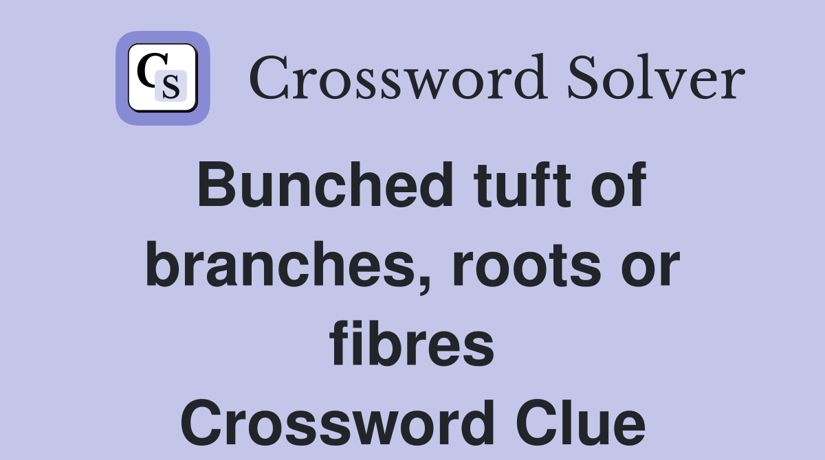 Bunched tuft of branches, roots or fibres Crossword Clue