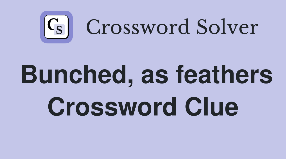 Bunched, as feathers Crossword Clue