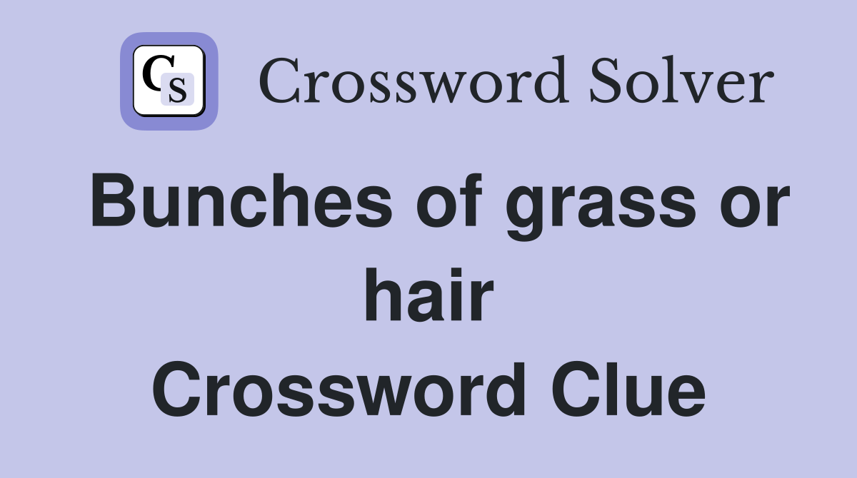 Bunches of grass or hair Crossword Clue