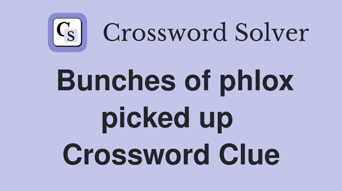 Bunches of phlox picked up  Crossword Clue