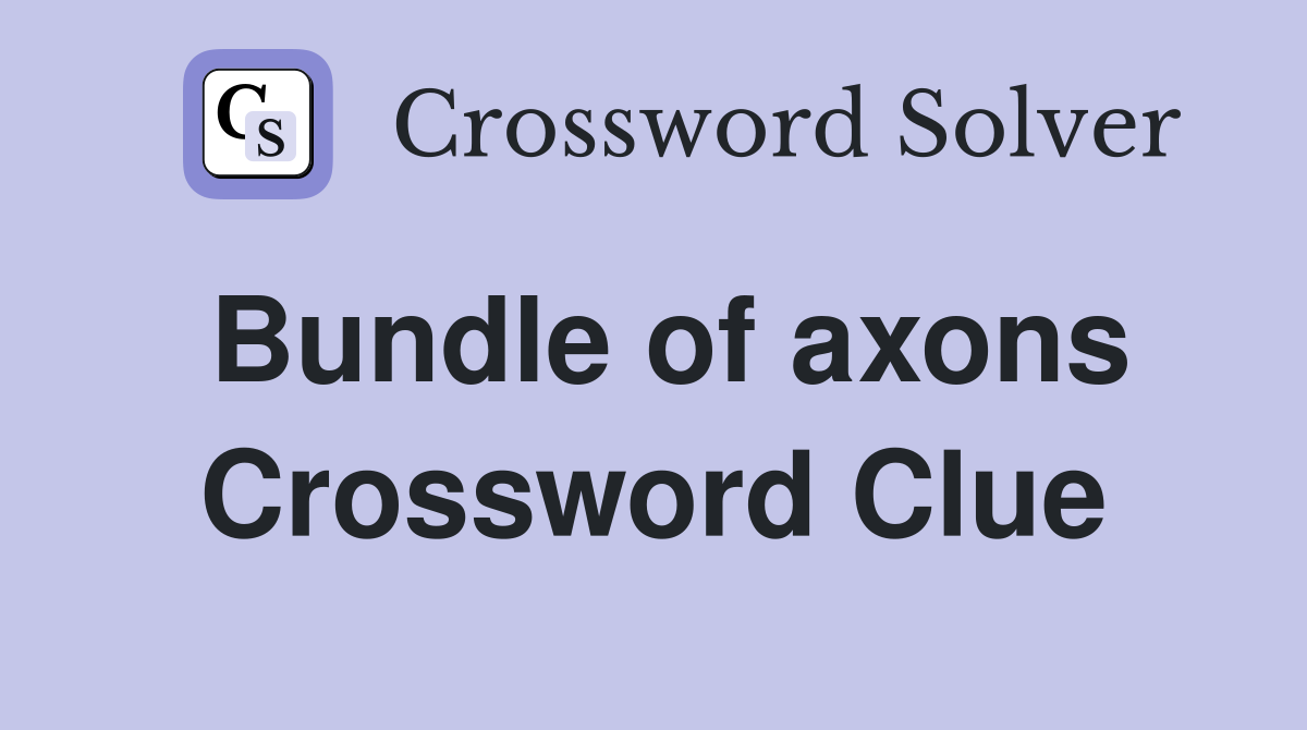 Bundle of axons Crossword Clue