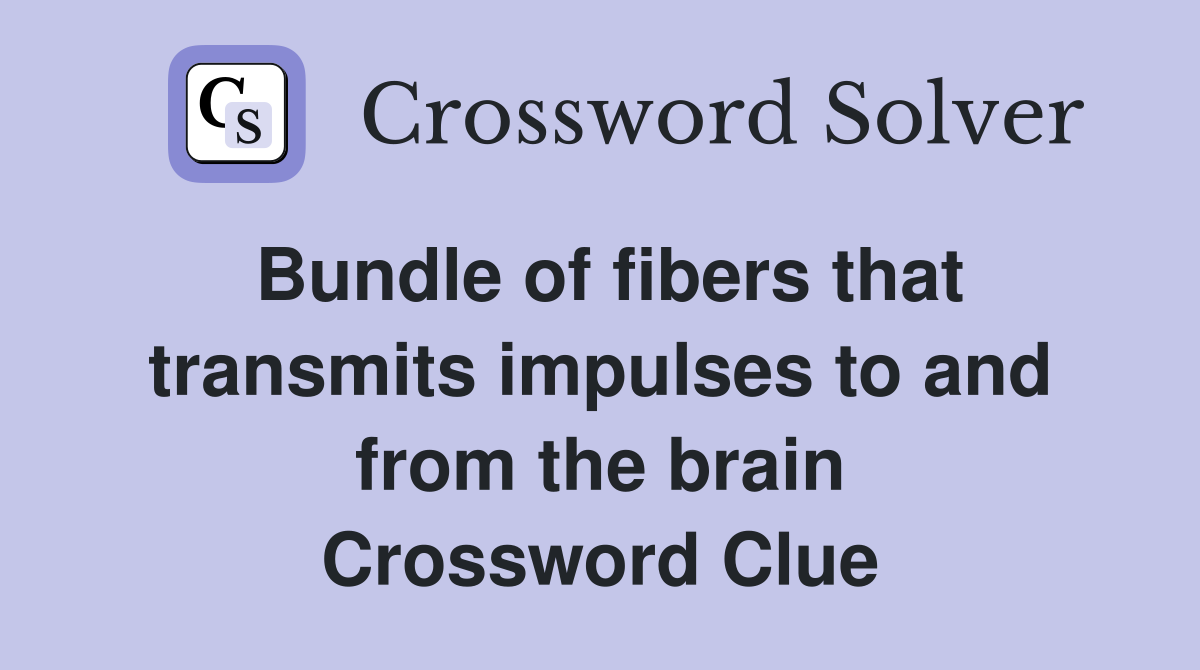 Bundle of fibers that transmits impulses to and from the brain Crossword Clue