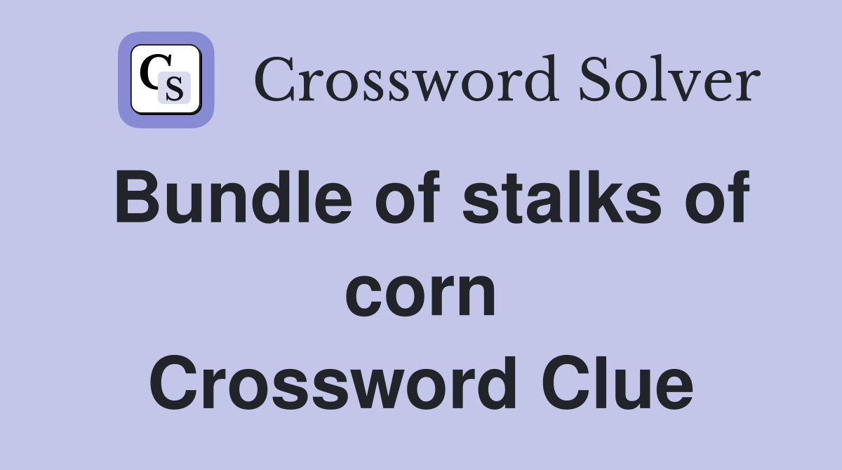 Bundle of stalks of corn Crossword Clue