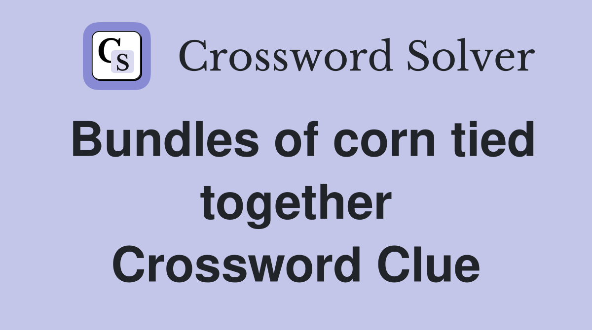 Bundles of corn tied together Crossword Clue