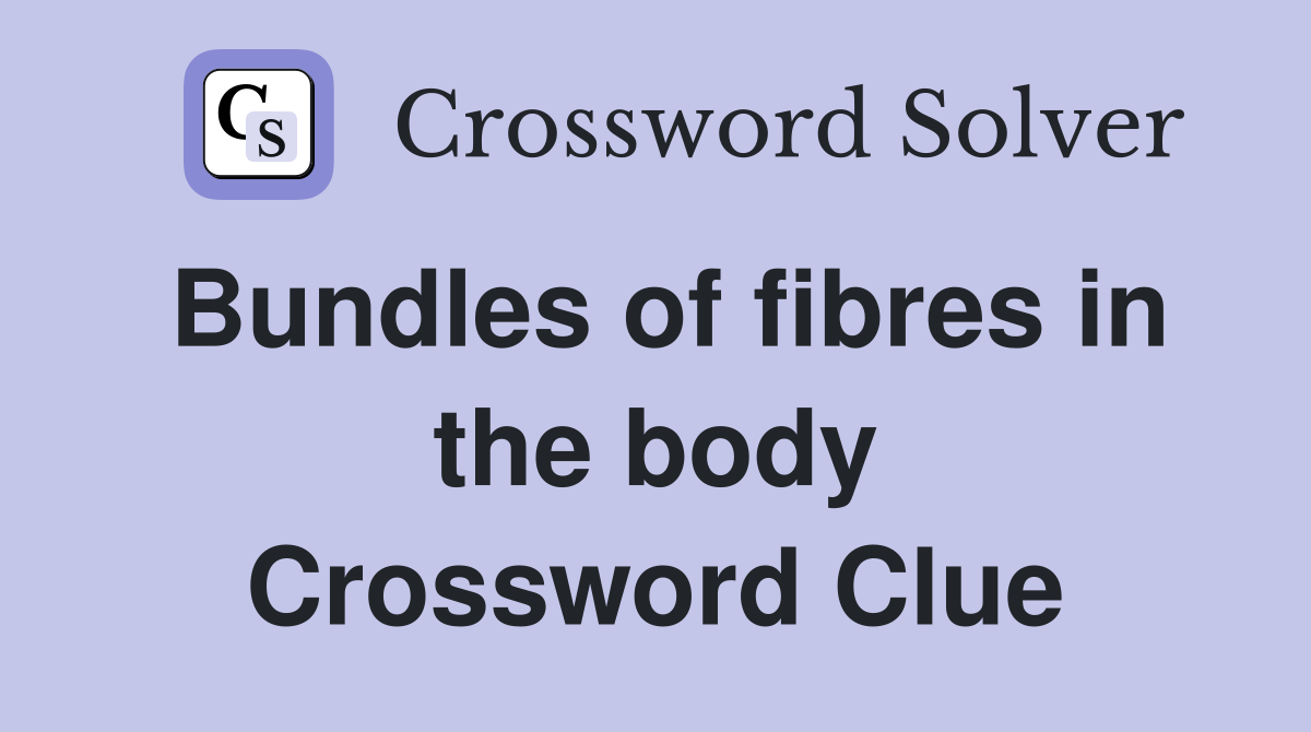 Bundles of fibres in the body Crossword Clue