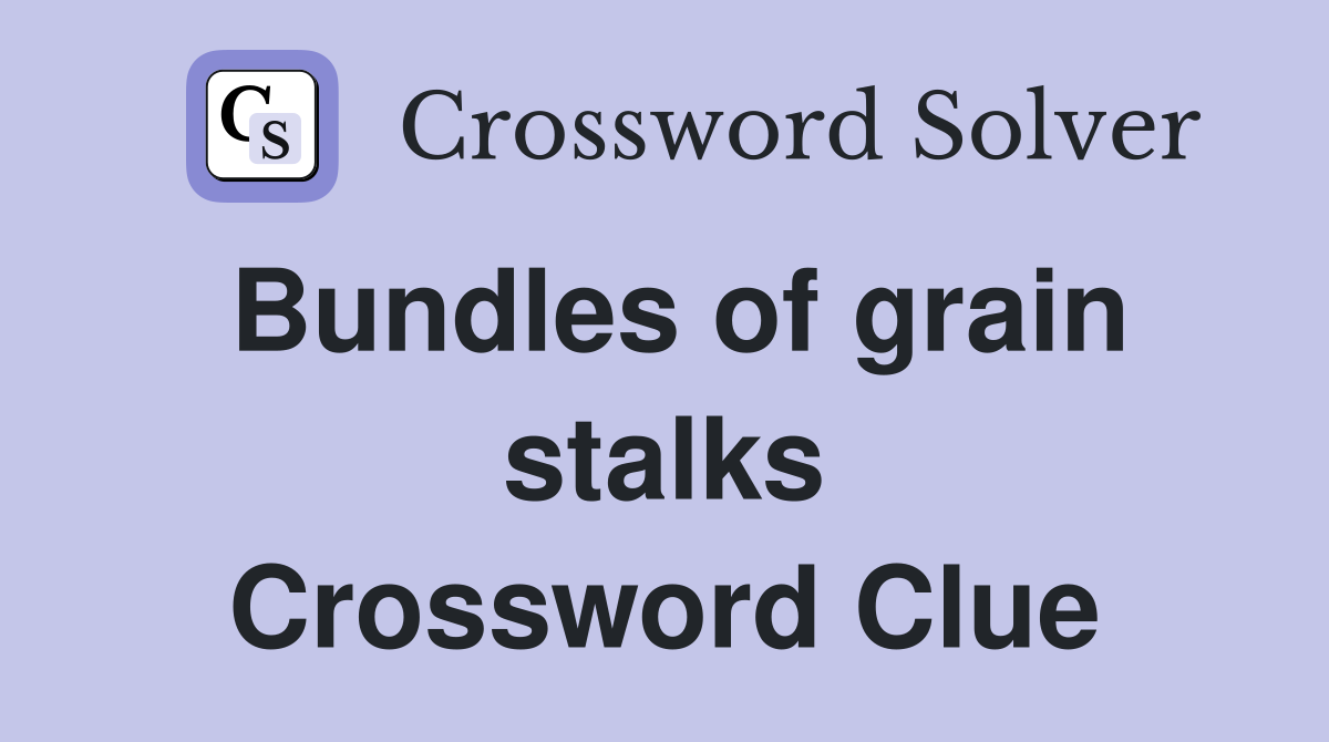 Bundles of grain stalks Crossword Clue