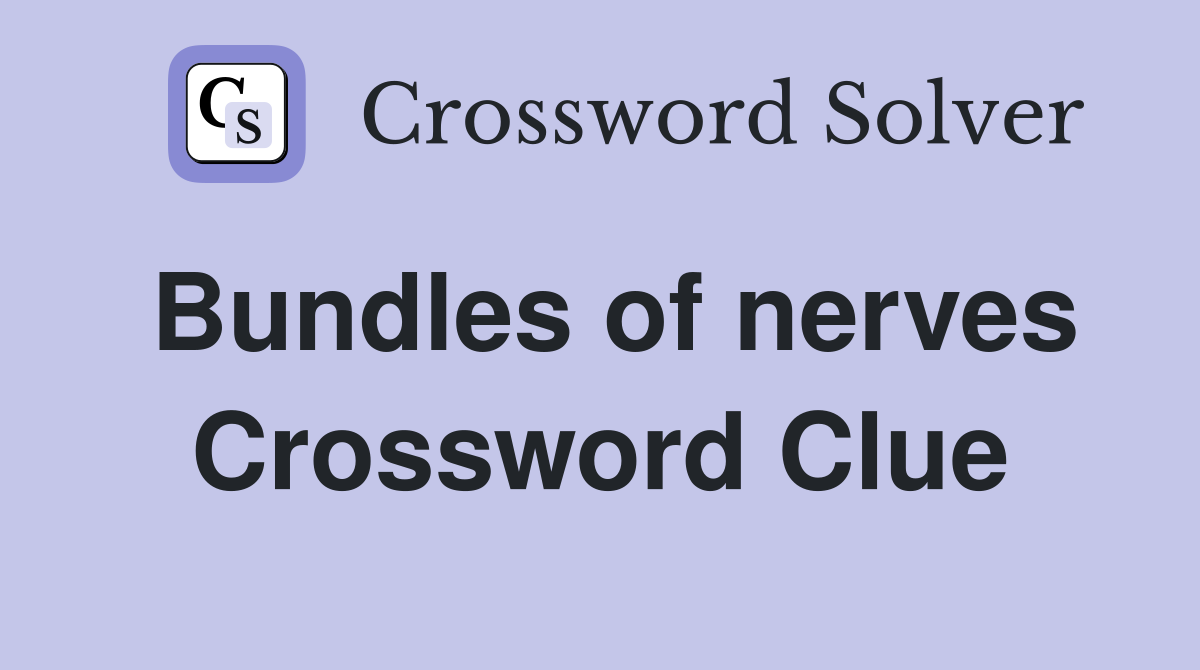 Bundles of nerves Crossword Clue