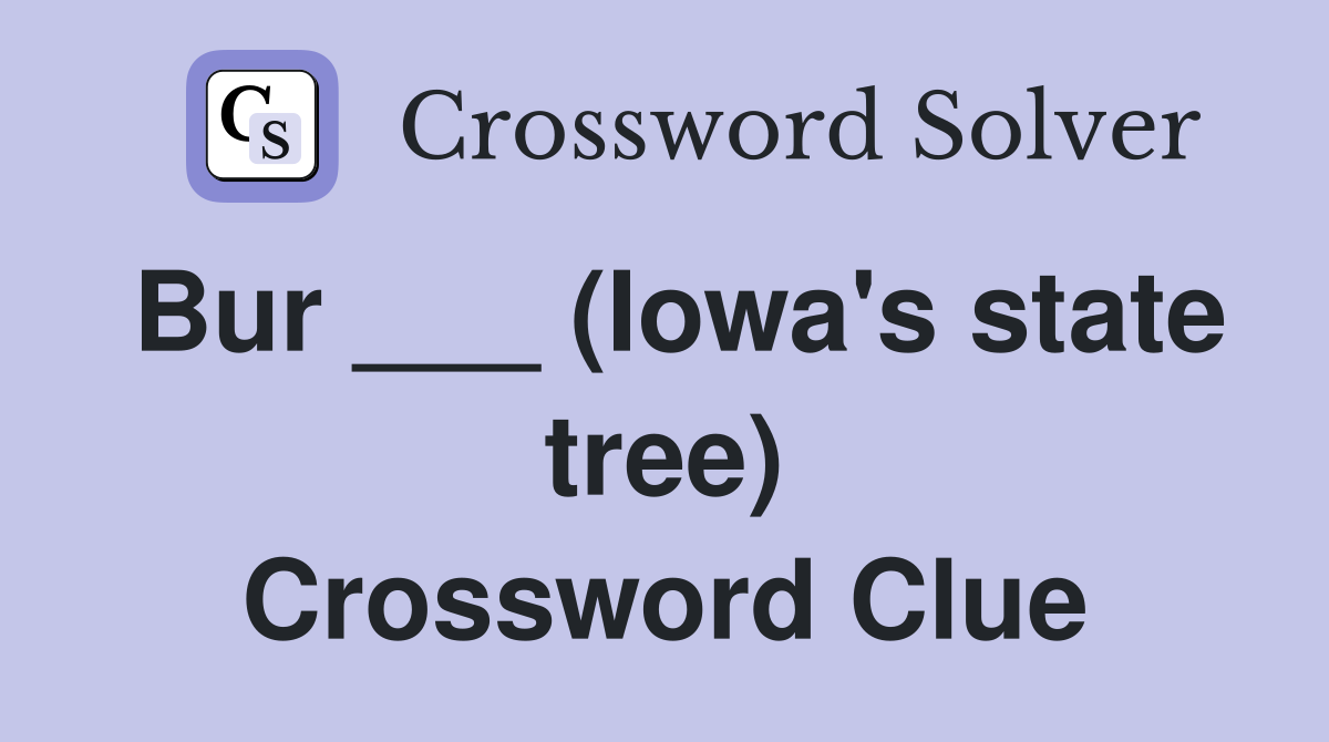 Bur ___ (Iowa's state tree) Crossword Clue