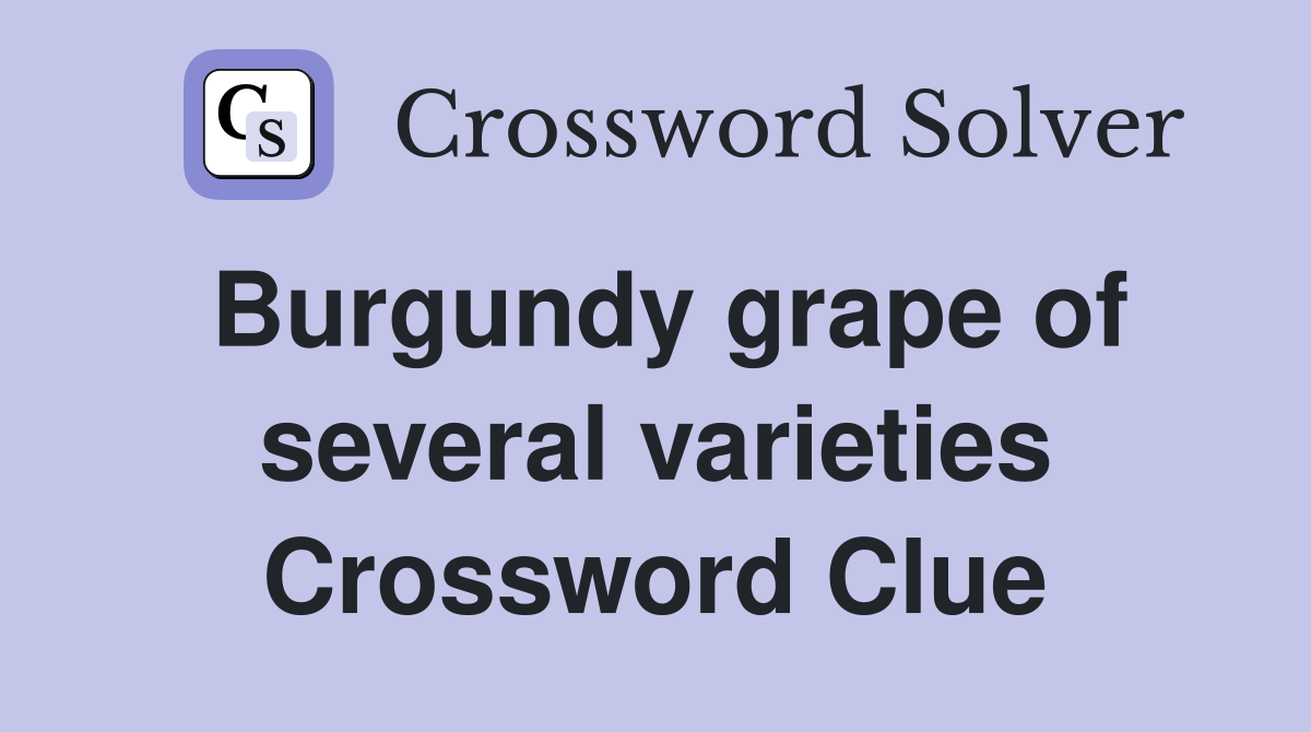Burgundy grape of several varieties Crossword Clue