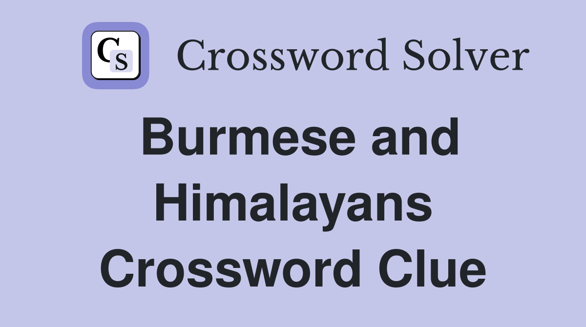 Burmese and Himalayans Crossword Clue