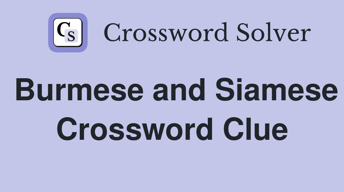 Burmese and Siamese Crossword Clue