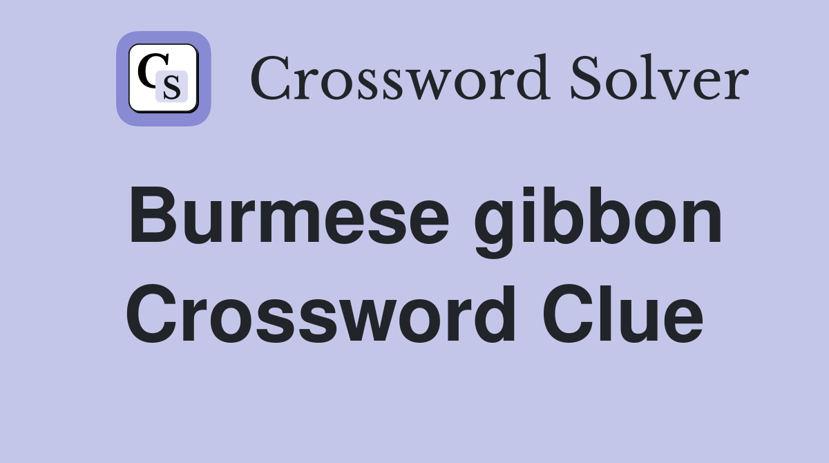 Burmese gibbon Crossword Clue