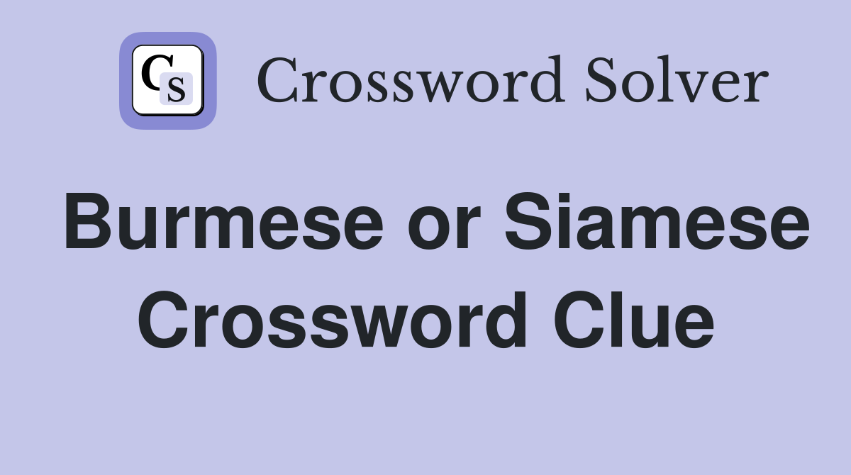 Burmese or Siamese Crossword Clue