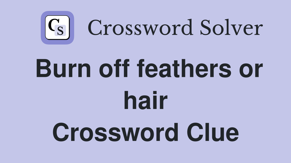 Burn off feathers or hair Crossword Clue
