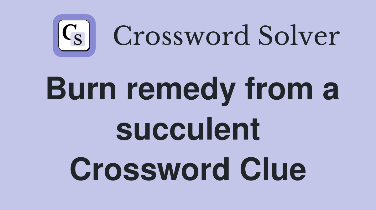 Burn remedy from a succulent Crossword Clue