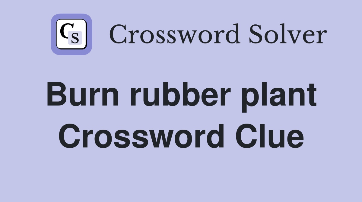Burn rubber plant  Crossword Clue