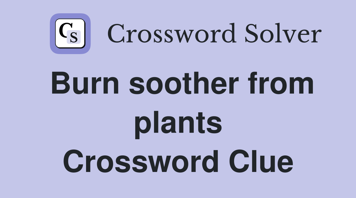 Burn soother from plants Crossword Clue