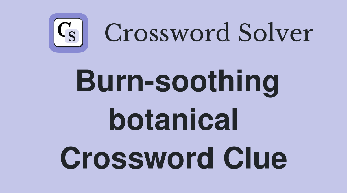 Burn-soothing botanical Crossword Clue
