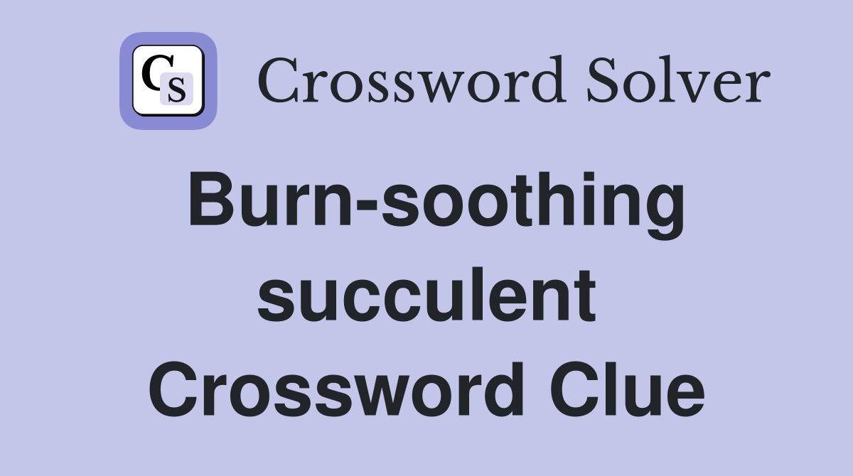 Burn-soothing succulent Crossword Clue