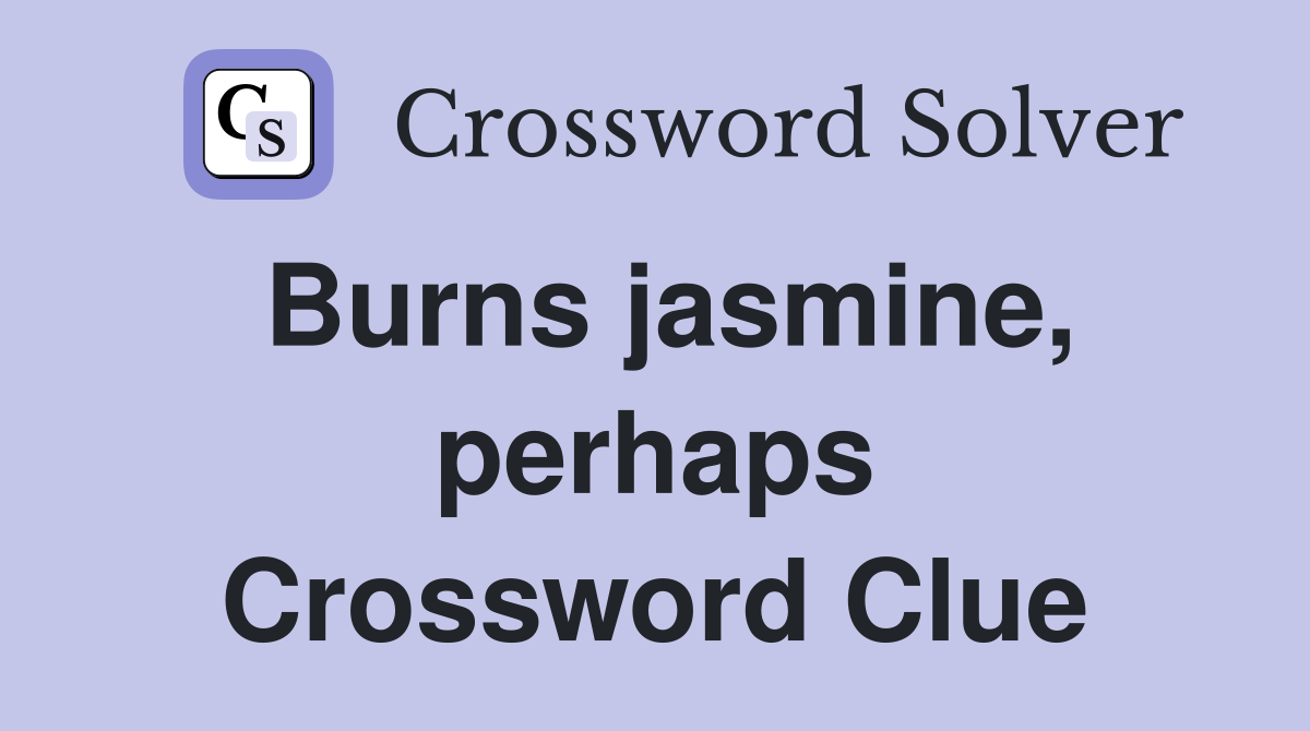 Burns jasmine, perhaps Crossword Clue