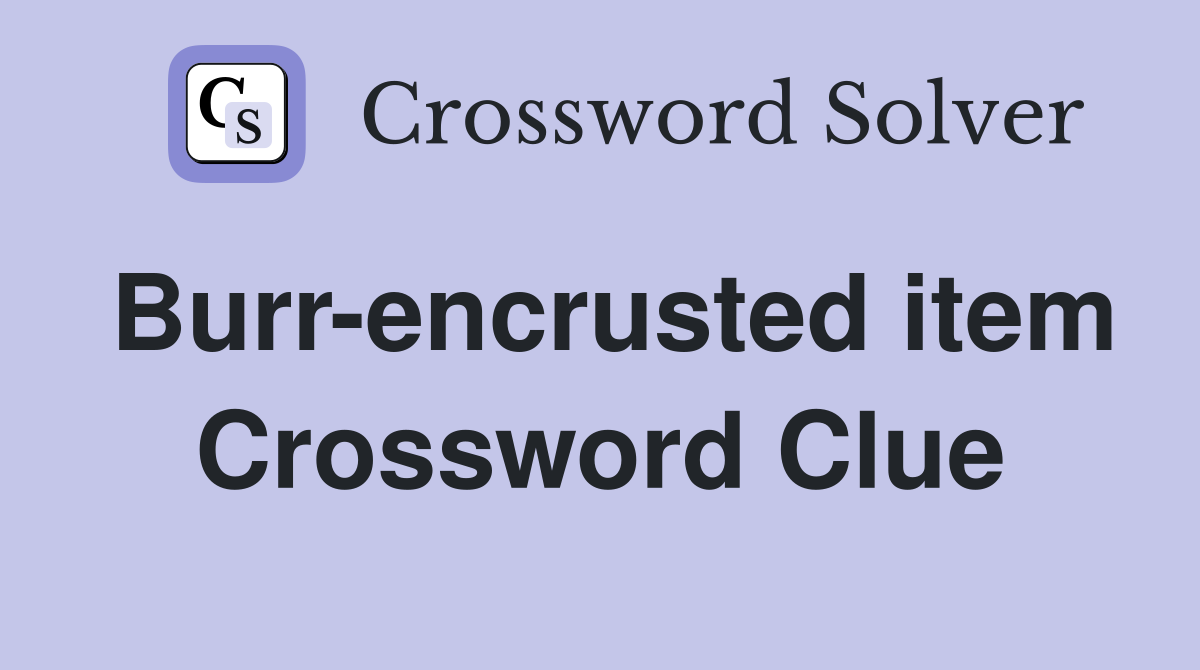 Burr-encrusted item Crossword Clue