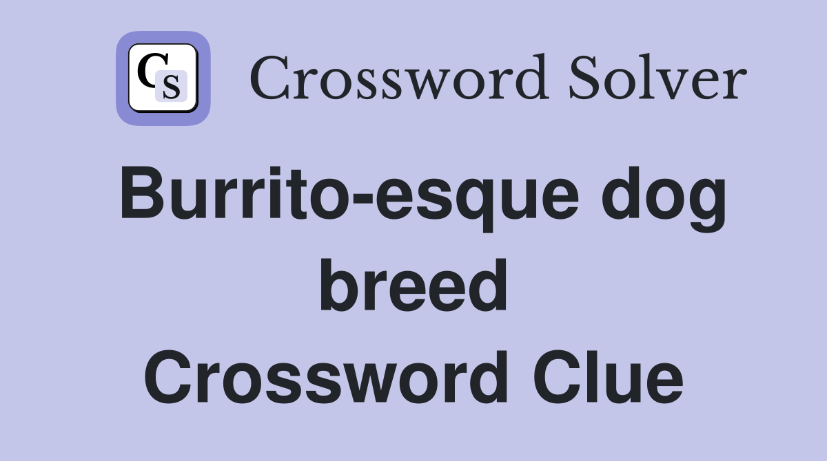 Burrito-esque dog breed Crossword Clue