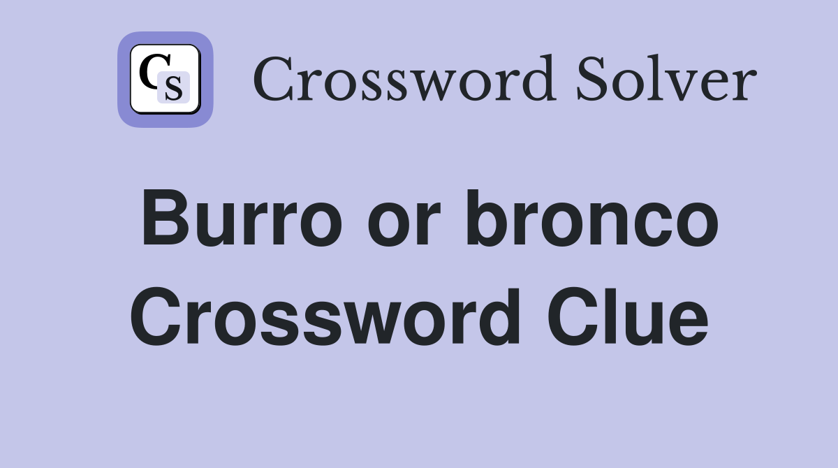 Burro or bronco Crossword Clue