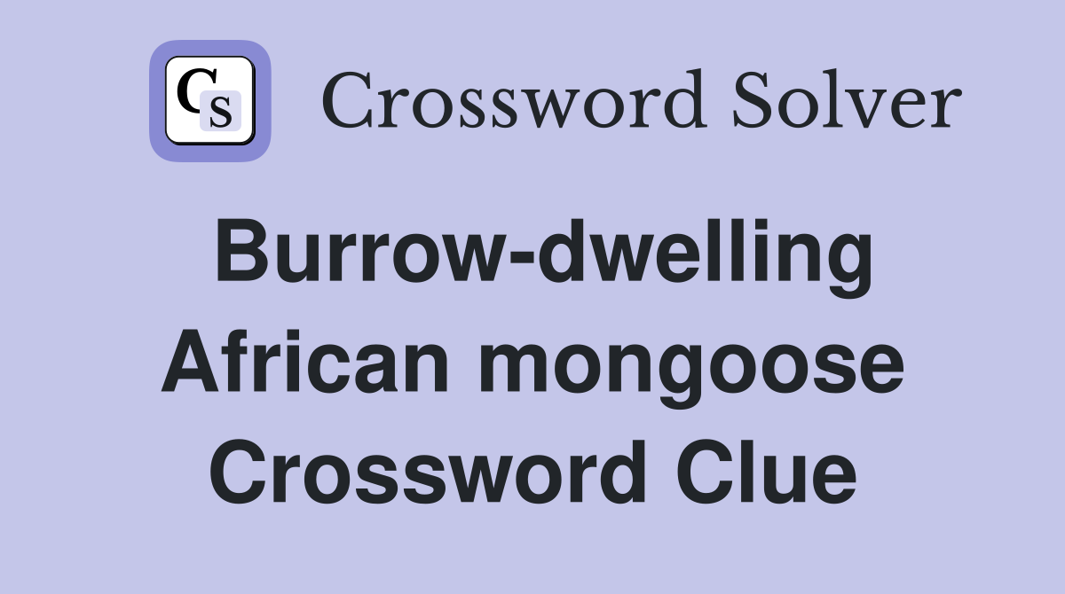 Burrow-dwelling African mongoose Crossword Clue