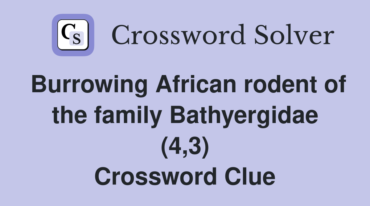 Burrowing African rodent of the family Bathyergidae (4,3) Crossword Clue